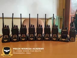 Komunikasi Radio Profesional